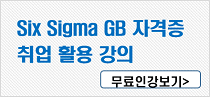 Six Sigma GB ڰ  Ȱ  ΰ